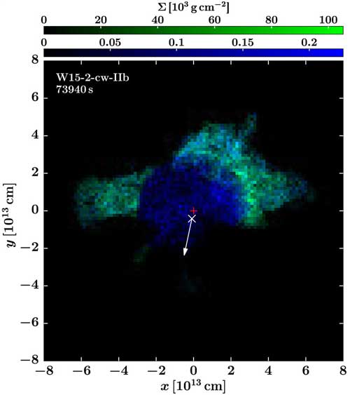 Observable radioactive nickel (56Ni, green) and titanium (44Ti, blue) as predicted by the 3D simulation of a neutrino-driven supernova explosion
