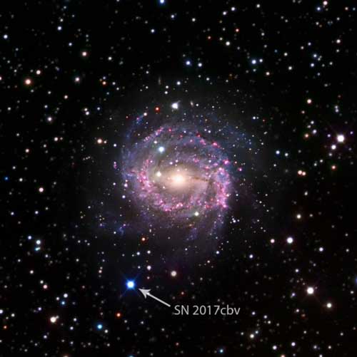 Only 55 million lightyears away, this is one of the closest supernovae discovered in recent years