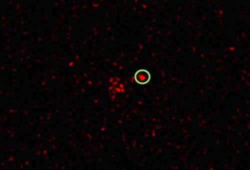 X-ray Detection from Supernova 2012ca