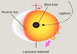 A black hole captured by a neutron star