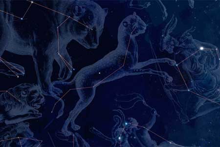 Lynx constellation