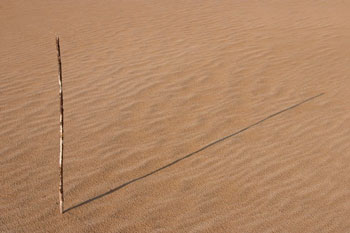 stick casting shadow in sand