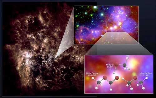 chemical 'fingerprints' of methanol, dimethyl ether, and methyl formate in the Large Magellanic Cloud