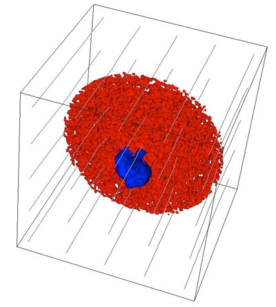 3-D visualization of the simulated Rosetta nebula
