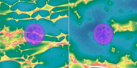 Hunting for Strongly Lensed Type Ia Supernovae