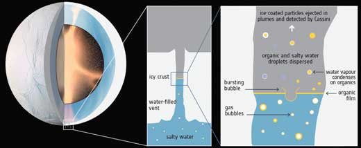 Hydrothermal activity in Enceladus’ core and the rise of organic-rich bubbles
