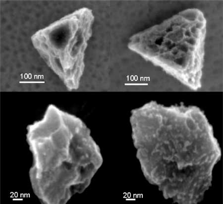 Silicon carbide grains