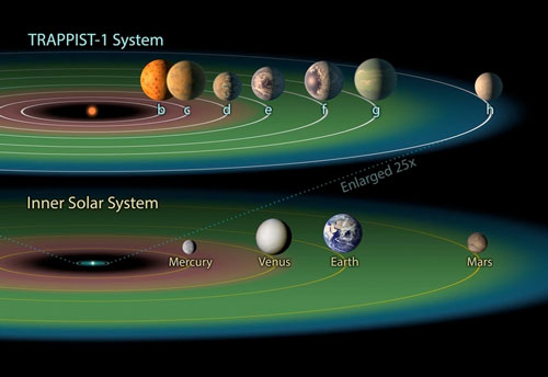 The relative size of the TRAPPIST-1 planets and their orbits