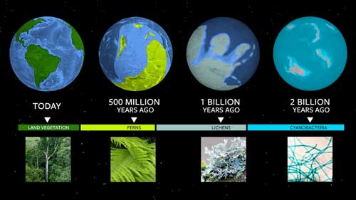 Earth’s biological milestones