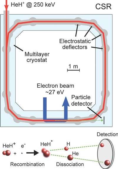 Scheme of the CSR ring structure with stored HeH+ ion beam (red), merged electron beam (blue), reaction products (green) and particle detector