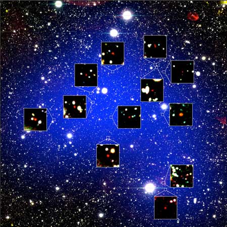 z660D Protocluster