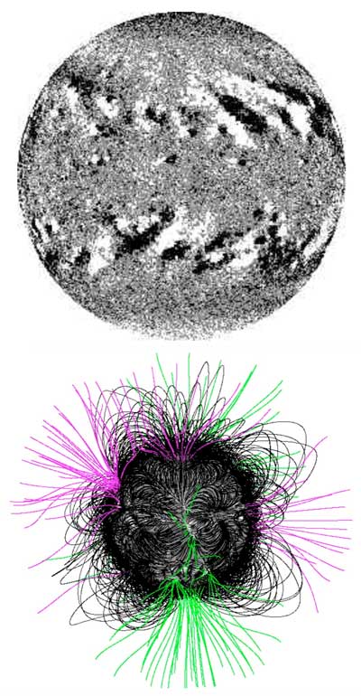 A stellar flux transport simulation
