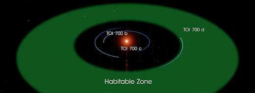 The three planets of the TOI 700 system orbit a small, cool M dwarf star