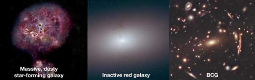 galaxy XMM-2599