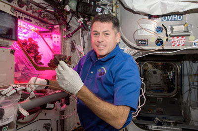 Astronaut Shane Kimbrough in front of the 'Veggie' chamber on the ISS in November 2016