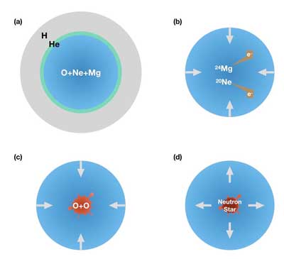 A star core contains oxygen, neon, and magnesium