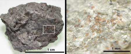 A rock fragment of Martian meteorite ALH 84001