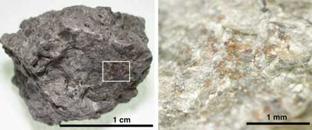 A rock fragment of Martian meteorite ALH 84001 (left). An enlarged area (right) shows the orange-coloured carbonate grains on the host orthopyroxene rock