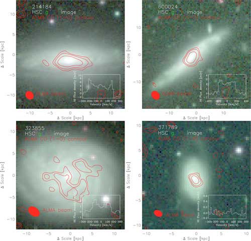 The optical color images of the four galaxies for FAST observation