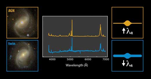 Comparison between An Active Spiral and Its Non-Active Twin