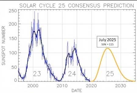 Results of the Solar Cycle 25 Prediction Panel