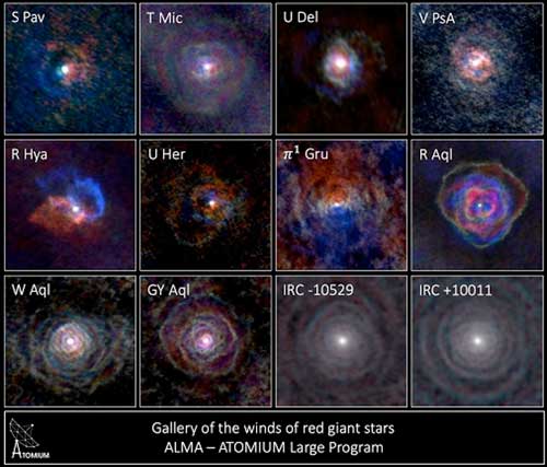 Gallery of stellar winds around cool ageing stars