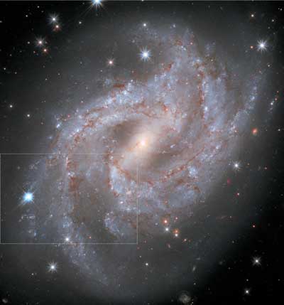supernova in spiral galaxy NGC 2525
