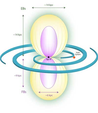 Schematic view of the eROSITA (yellow) and Fermi bubbles (purple)