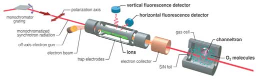 Simultaneous measurements of fluorescence spectra of highly charged ions trapped in a compact electron beam ion trap and absorption spectra of molecular gases in a separated gas cell downstream