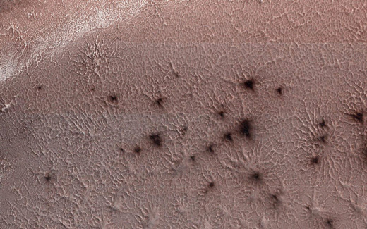 A NASA image of the spiders on Mars