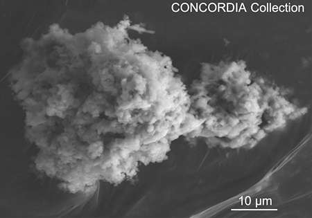 Electron micrograph of a Concordia micrometeorite