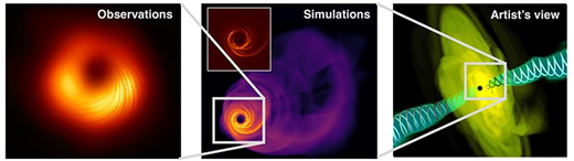 Magnetic fields at the central regions of active galactic nuclei