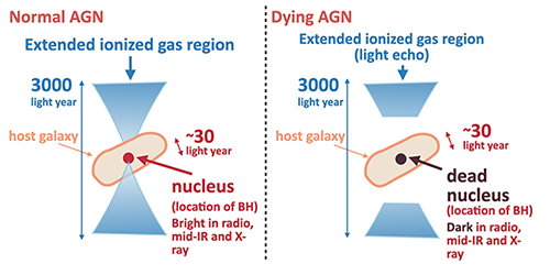 The observational difference between a standard active galactic nuclei (left) and a dying active galactic nuclei (right)