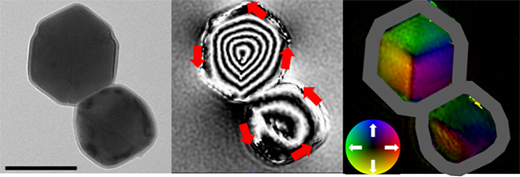 Electron microscope image (left), a magnetic flux distribution image (middle), and a color-wheel map image (right) of magnetite particles from the Tagish Lake meteorite