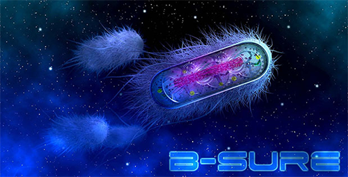 B-SURE program logo