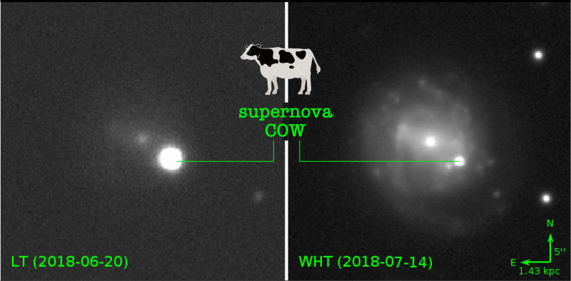 Supernova AT 2018cow, nicknamed the COW