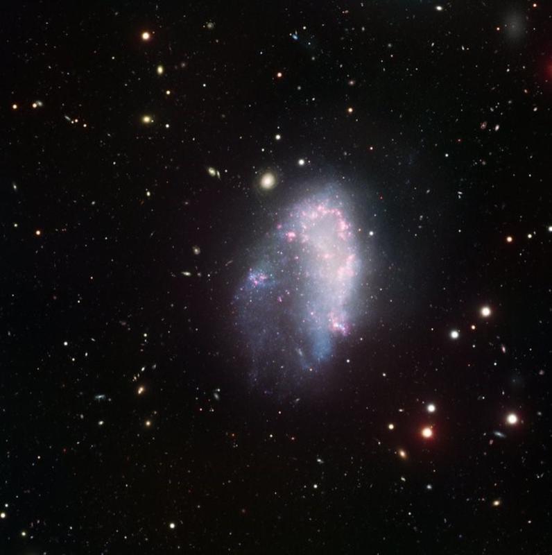 dwarf galaxy NGC1427A flies through the Fornax galaxy cluster