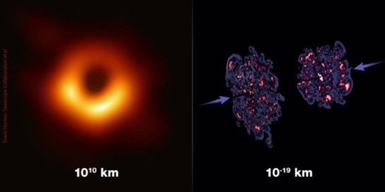 black holes share features with a dense state of subatomic gluons