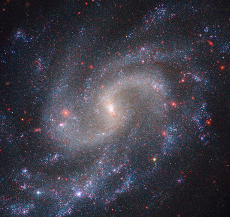 spiral galaxy NGC 5584
