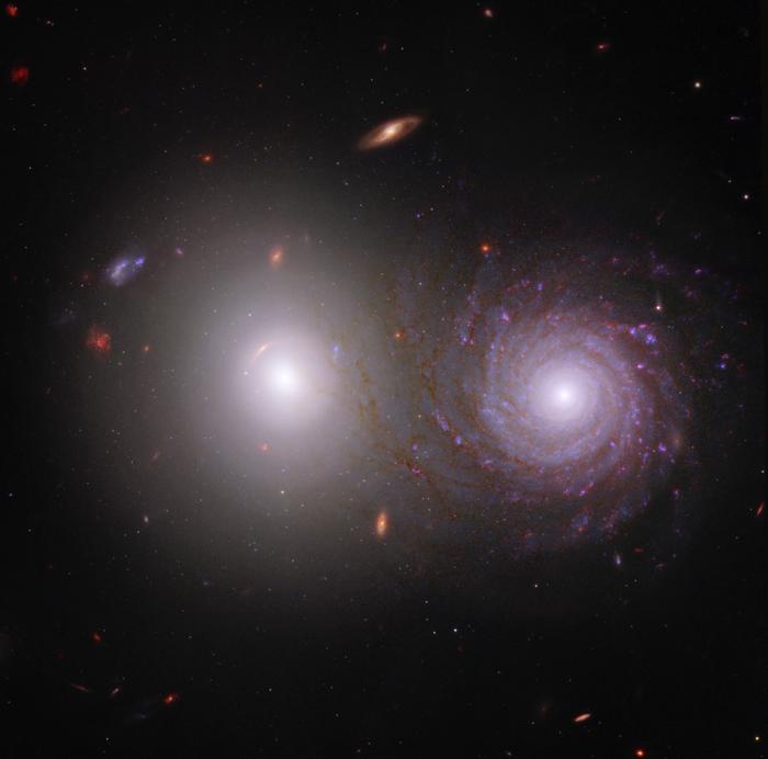 Elliptical and spiral galaxy
