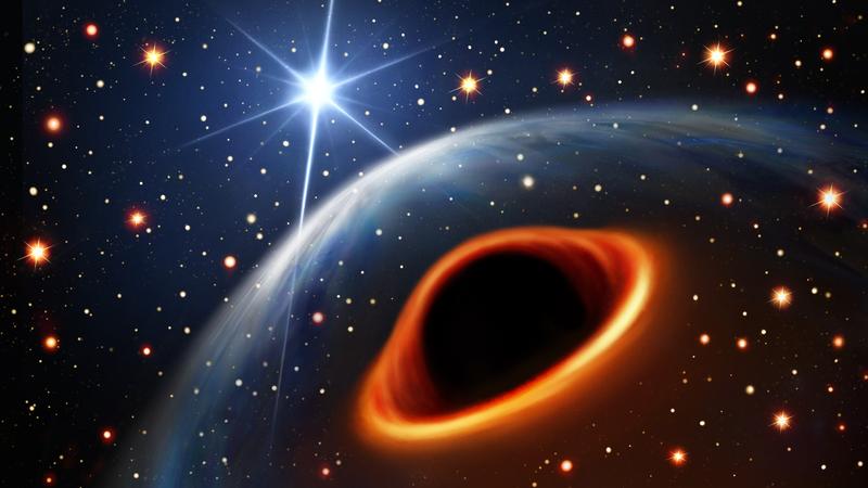 An artist’s impression of the system assuming that the massive companion star is a black hole