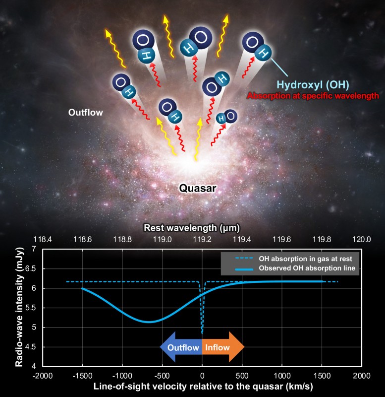The molecular gas outflow from the quasar includes hydroxyl