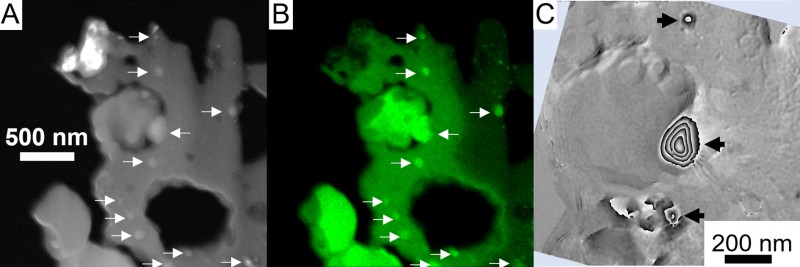 Iron nanoparticles distributed around pseudo-magnetite