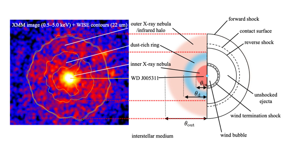These images show the two shock regions of the remnant SNR 1181