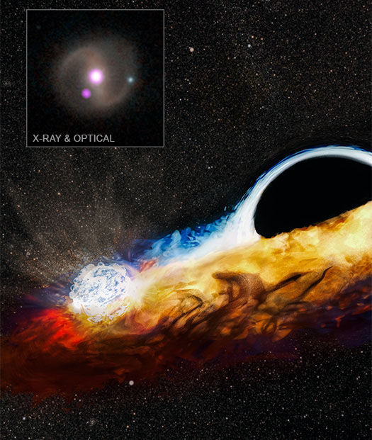 This release features an artist's rendering that illustrates the destructive power of a supermassive black hole