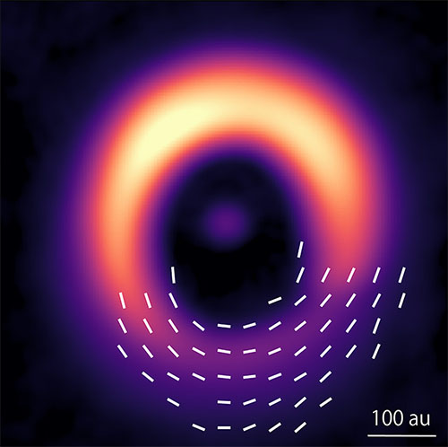 ALMA observations of the protoplanetary disk around HD 142527
