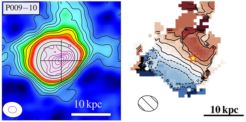 Gas distribution of ionized carbon (C+) on the halo scale of P009-10