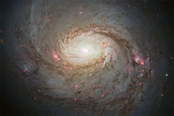 NGC 1068, also known as the Squid Galaxy
