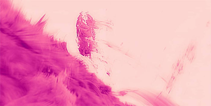 turbulence in the sun's corona