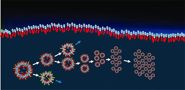 Molecular selection on Titan